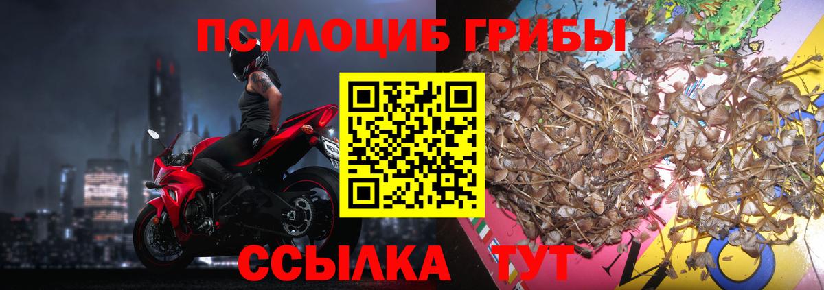 Галлюциногенные грибы Cubensis  Вход с VPN  наркота  Казань 